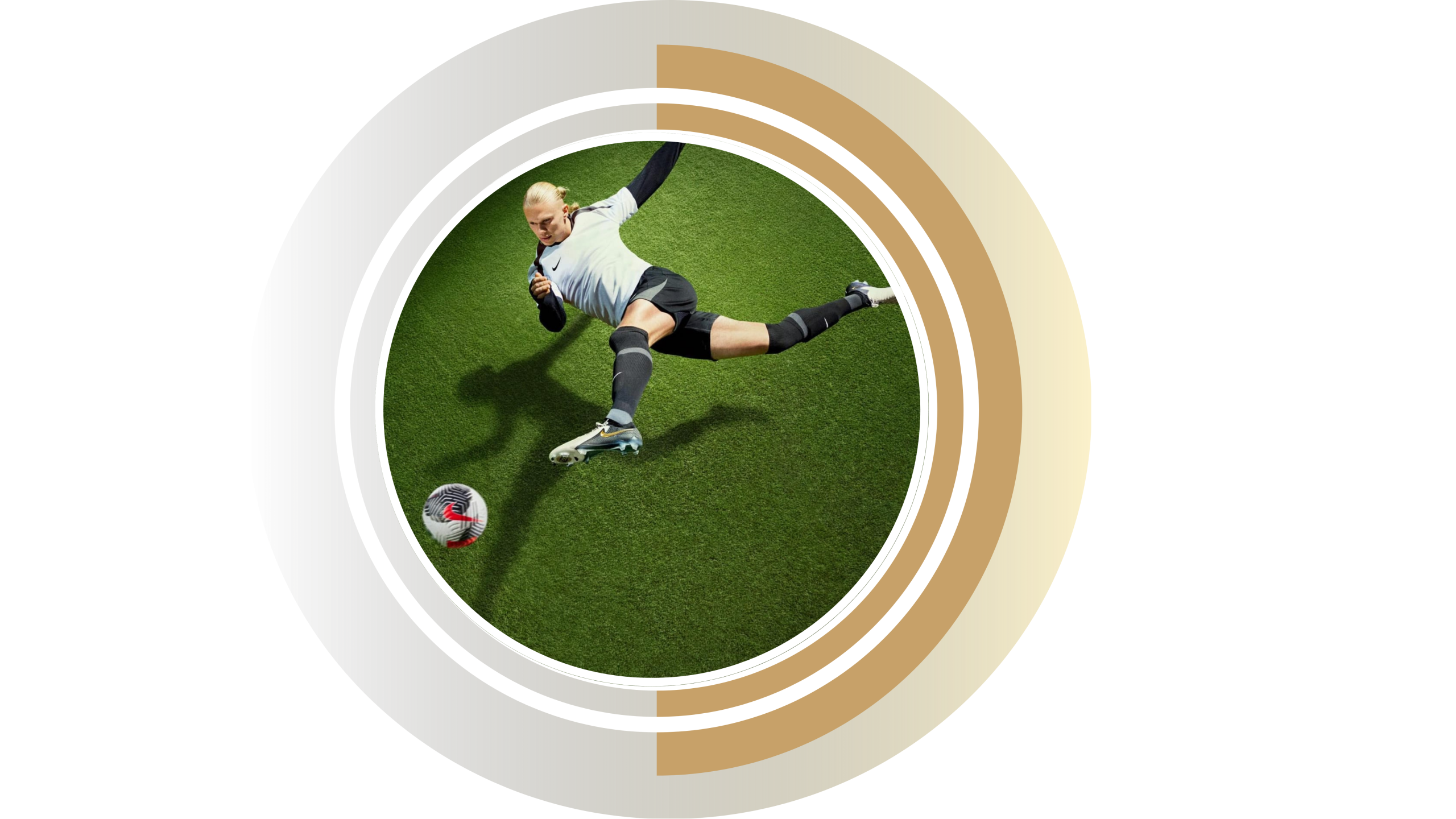 تصميم بدون عنوان (4)