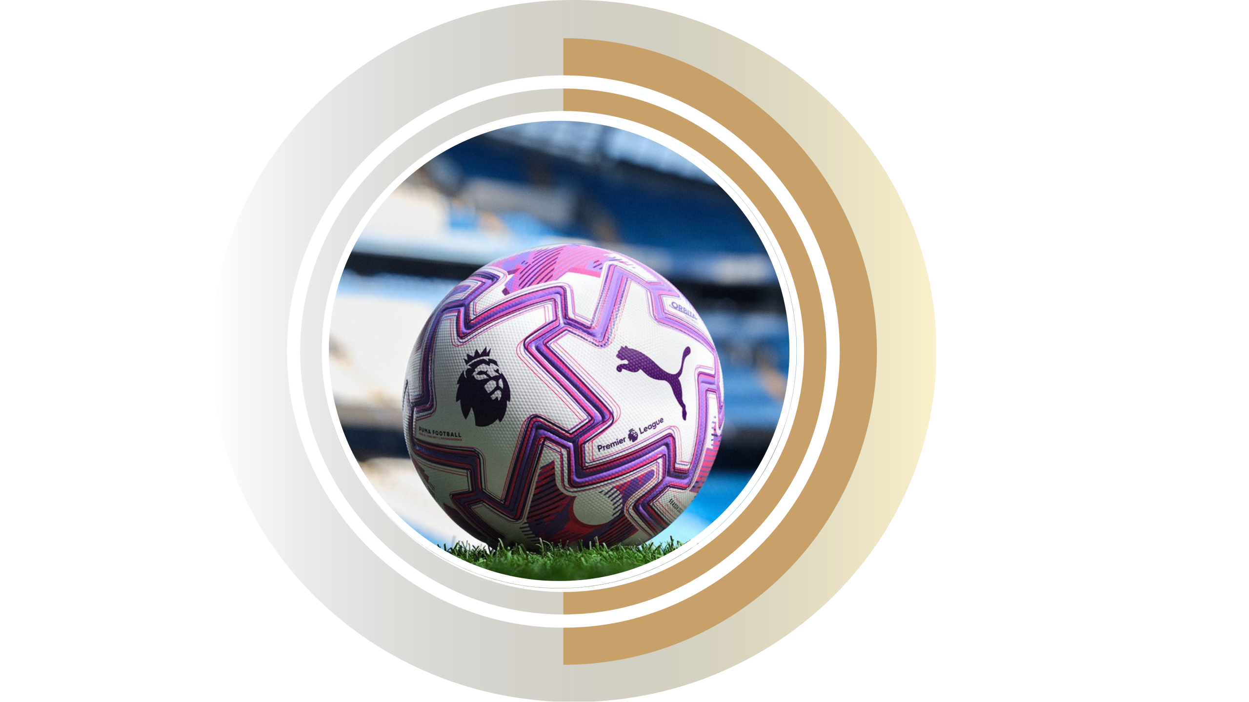 تصميم بدون عنوان (6)